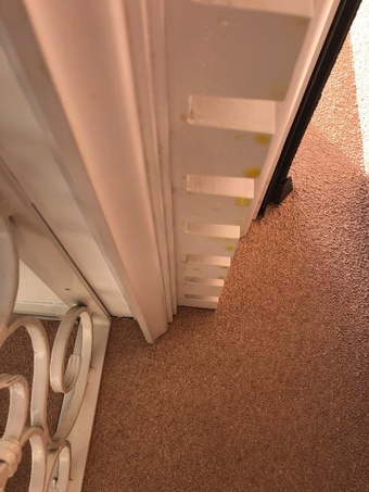 FYPON　MOULDING